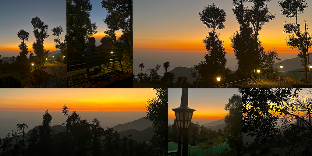 view from treetop glamps