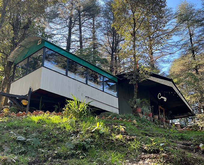 Escape to the mountain forest