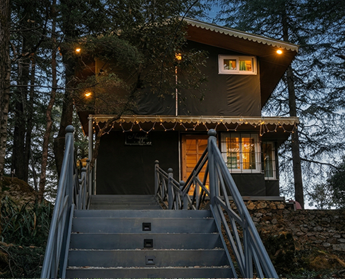 escape to the mountain forest (1)